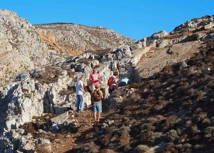 아파트 Angelica Frý