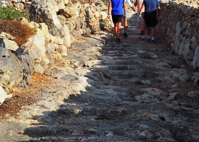 Angelica 아파트 *